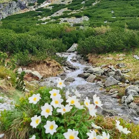 Apartman Tatry Ela Big *