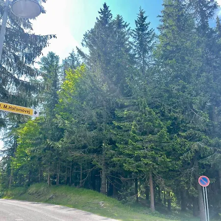 Tatry Ela Big *